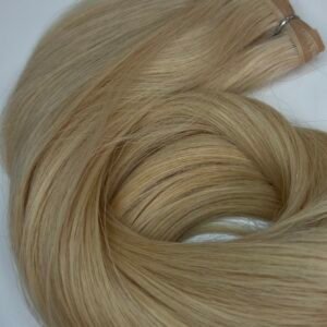 Alternative view of Genius Weft